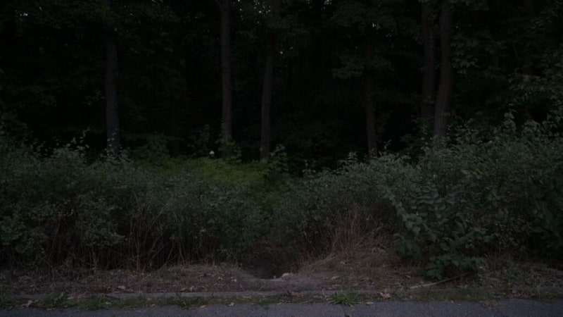 Transformations — Filmstill